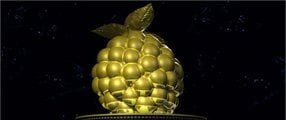 Goldene Himbeere