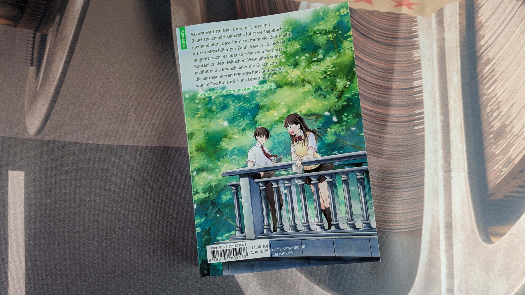 I want to eat your pancreas Kritik