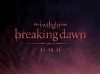 Breaking Dawn Biss zum Ende der Nacht