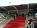 cannes_tag10_4