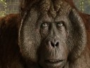 jungle_book_ver12