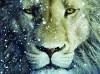 Die Chroniken von Narnia - Die Reise auf der Morgenröte