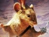 Die Chroniken von Narnia - Die Reise auf der Morgenröte