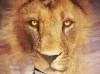 Die Chroniken von Narnia - Die Reise auf der Morgenröte