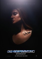 divergentdiebestimmung1
