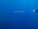 finding_dory_1