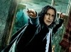 harry_potter_and_the_deathly_hallows_part_two_ver14