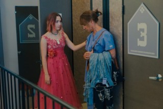 ladybird_2