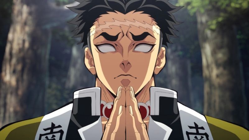 Demon Slayer: Kimetsu no Yaiba - Hashira Training Arc Kritik