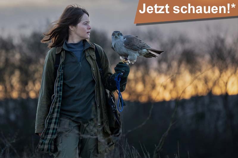 H wie Habicht Filmkritik