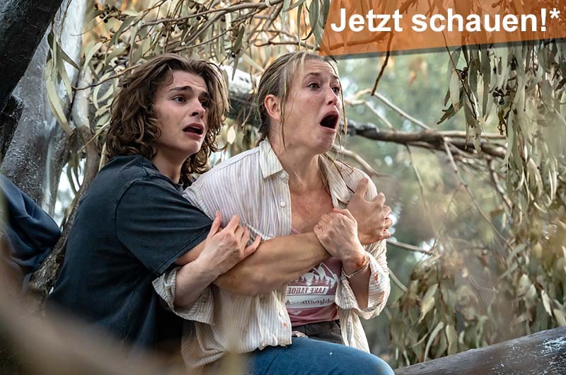 Hungry Filmkritik