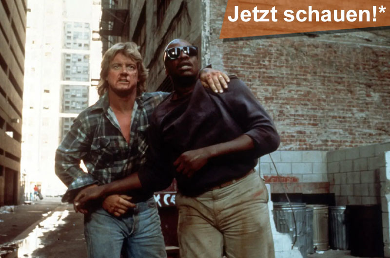 Sie leben Filmkritik
