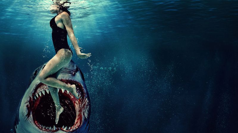 Something in the Water Filmkritik