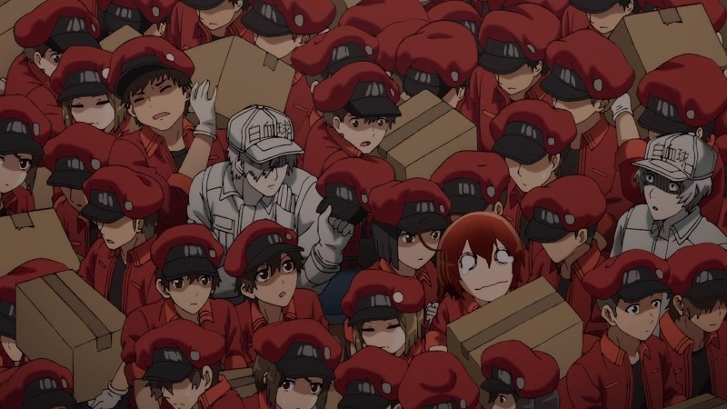 Cells at Work! Anime