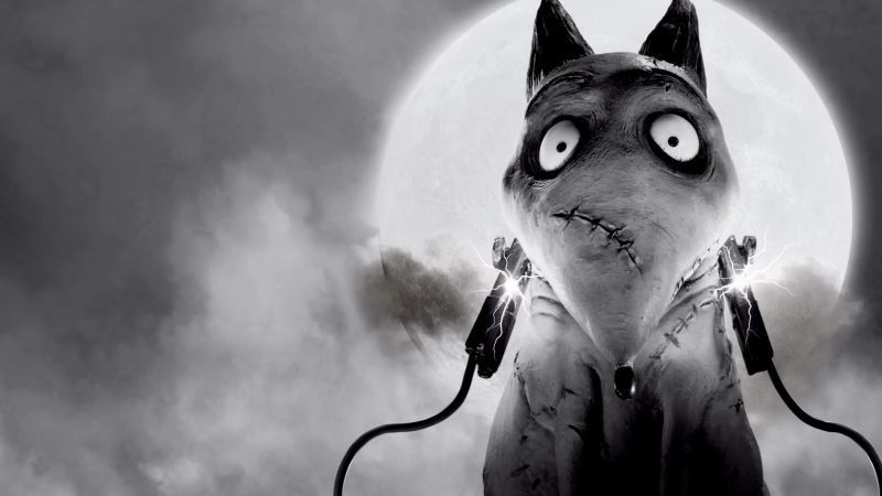 Frankenweenie Filmkritik