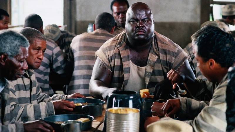 Lebenslänglich Kritik