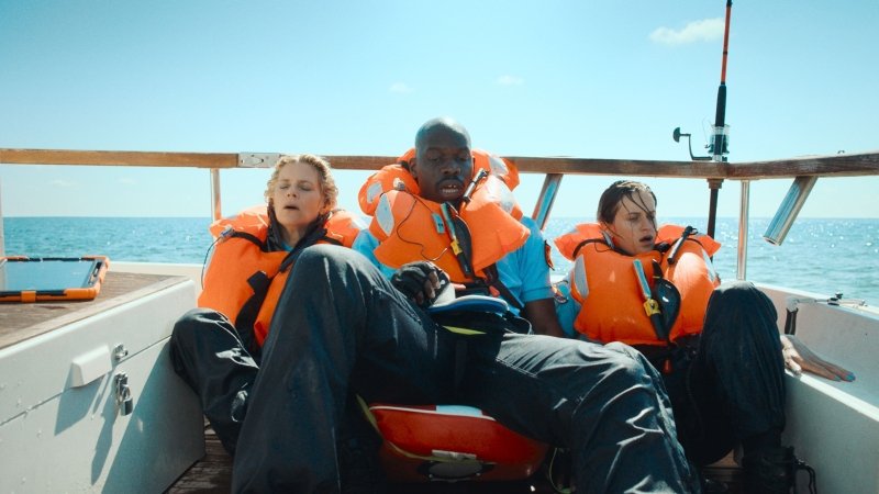 Year of the Shark Kritik