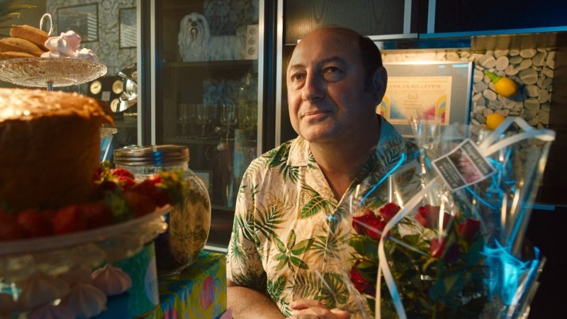 Year of the Shark Kritik