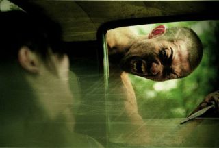 dogbitedog2