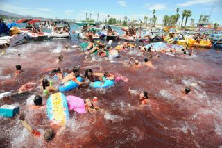 piranha3d1