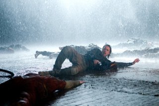 wwz3