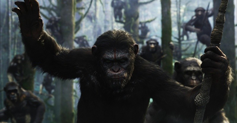 Planet der Affen: Revolution 2014 Szenenbild