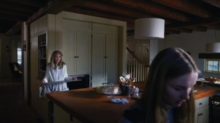 thevisit_3