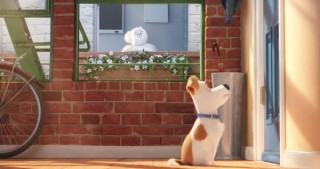 pets_1