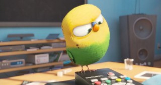 pets_2