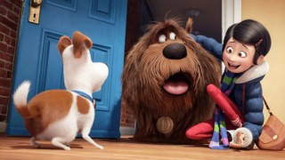 pets_3