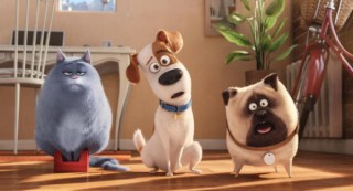 pets_4