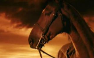 warhorse
