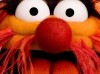 muppets_ver6_xlg