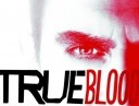 true-blood-stake10
