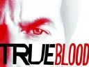 true-blood-stake11