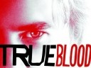 true-blood-stake12
