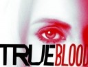 true-blood-stake9