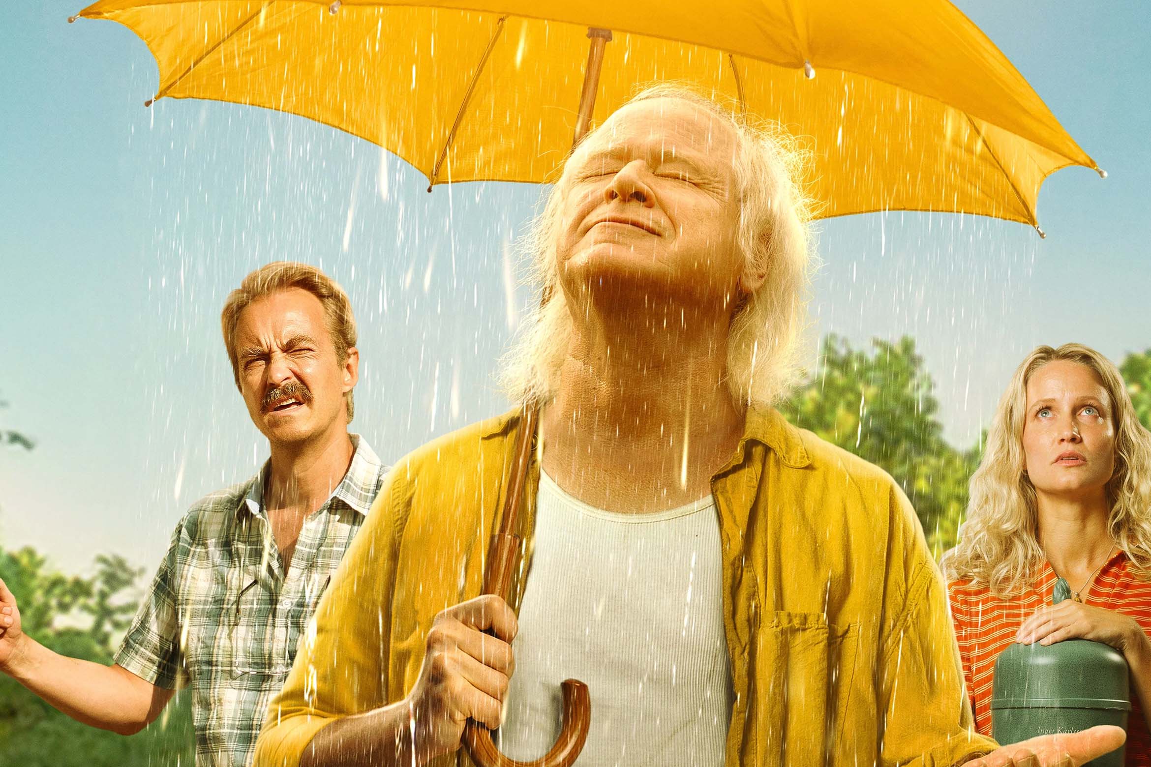Der Regenmeister
