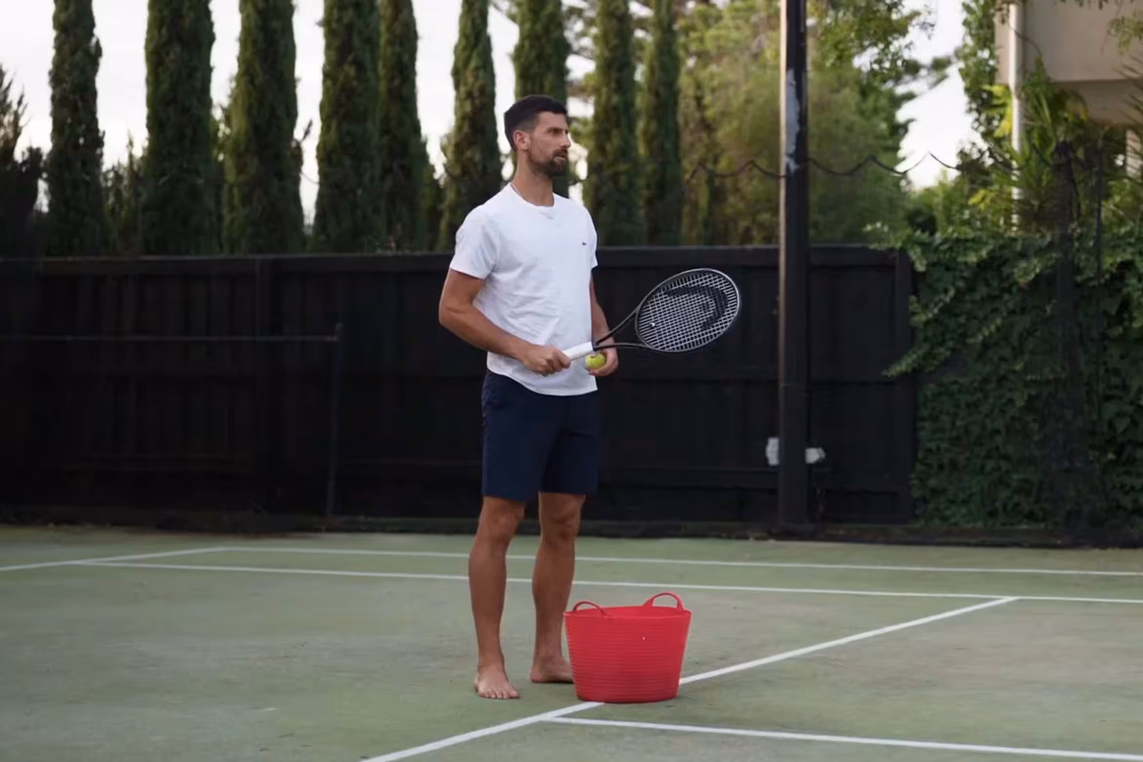 Novak Djokovic: Der Wolf im Winter