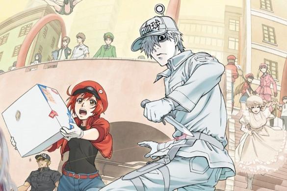 Cells at Work