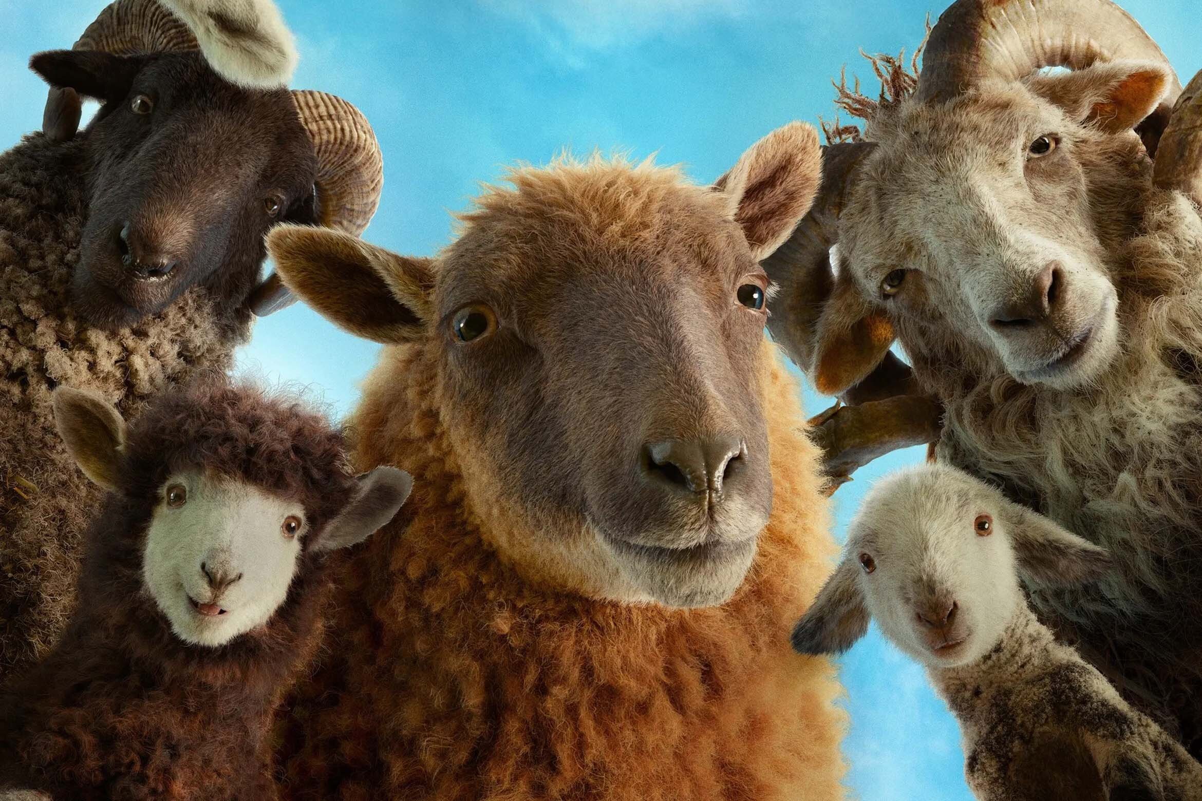 Glennkill: Ein Schafskrimi