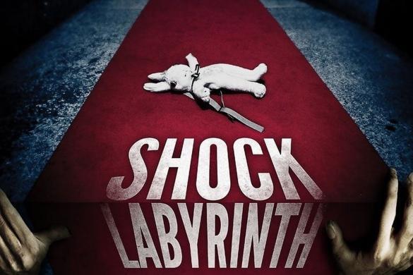 Schock Labyrinth 3D 2009