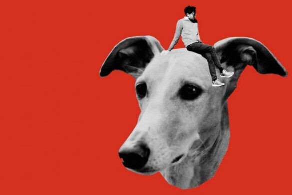 Selbstkritik eines bürgerlichen Hundes