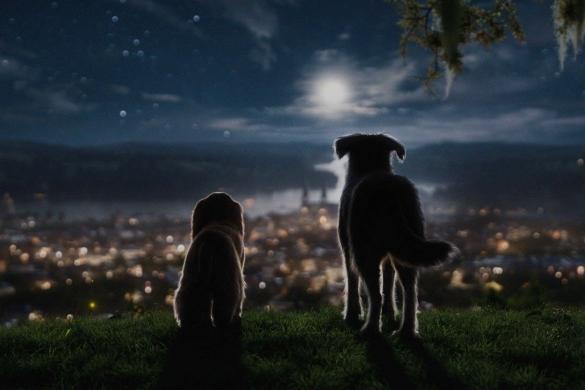 Lady and the Tramp 2019