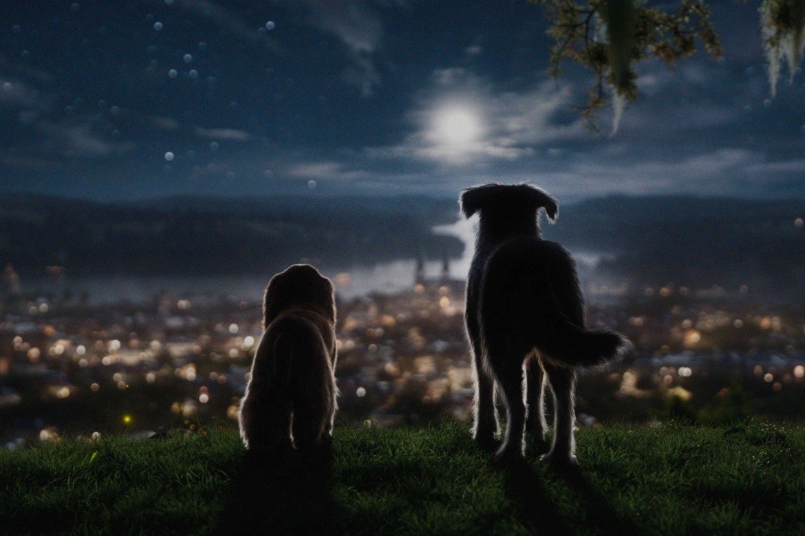 Lady and the Tramp 2019