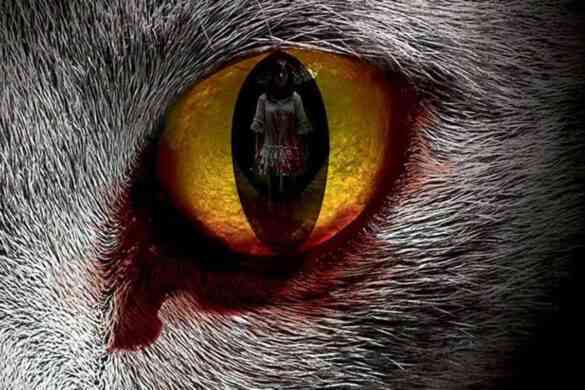 The Cat Horrorfilm